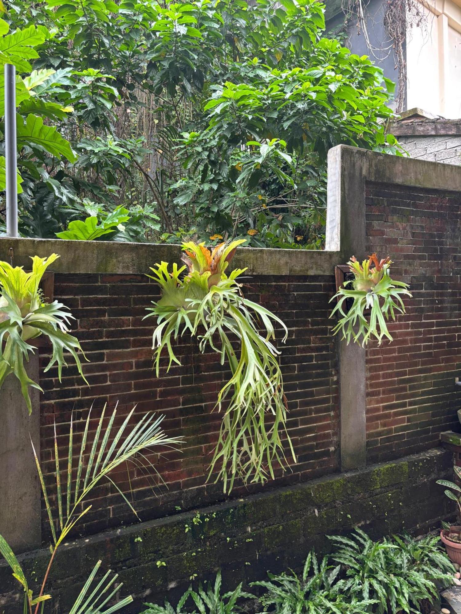 Adi Jaya Cottages Ubud Suites By Eps - Chse Certified Esterno foto